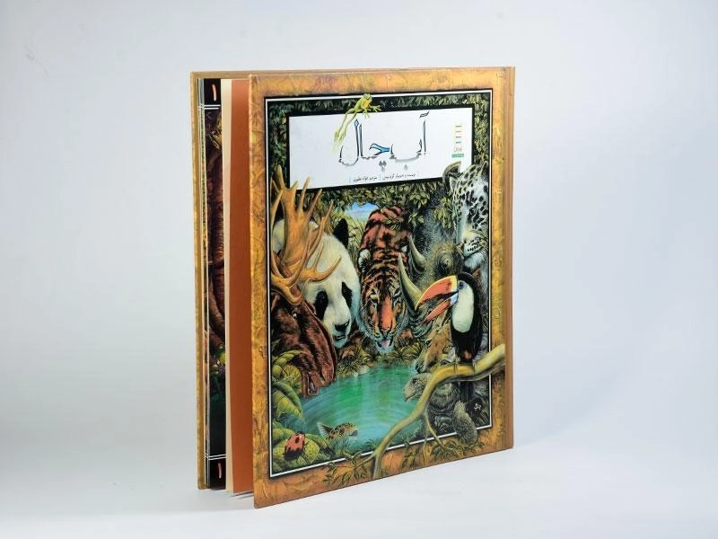 کتاب آب چال - نردبان - 3