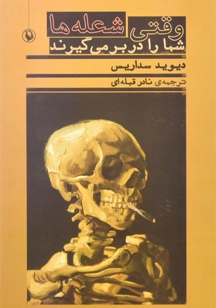 کتاب وقتی شعله ها شما را دربر می گیرند | دیوید سداریس