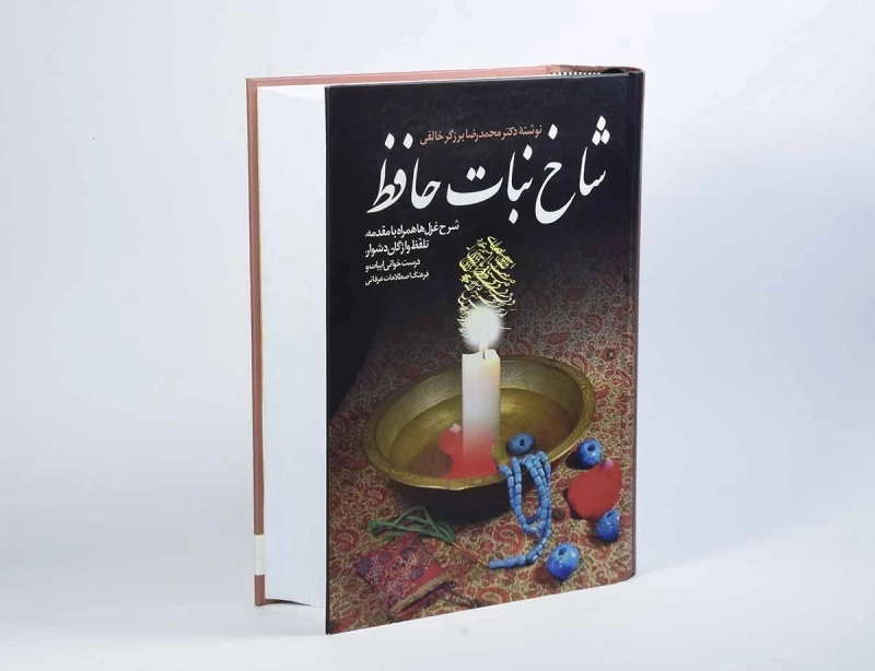 کتاب شاخ نبات حافظ - محمدرضا برزگر خالقی - 2