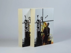 کتاب گناهکار - فرشته تات شهدوست (2 جلدی) - 1