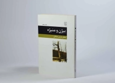 کتاب بیژن و منیژه - جعفر مدرس صادقی - 3