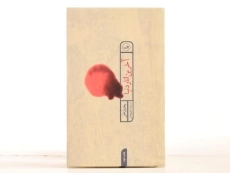 کتاب آخرین انار دنیا - بختیار علی - 4