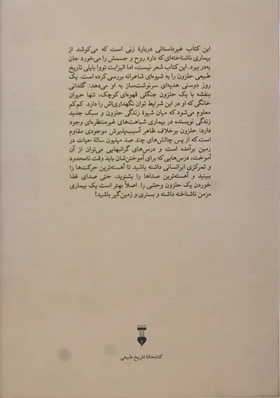 کتاب صدای غذا خوردن یک حلزون وحشی - 2