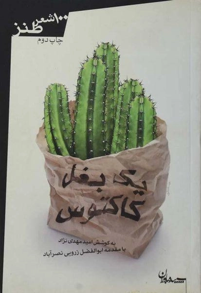 کتاب یک بغل کاکتوس | امیر مهدی نژاد