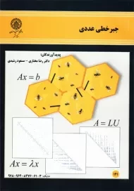 کتاب جبر خطی عددی | مختاری