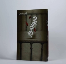 کتاب دیوانه وار - نقی سلیمانی - 2