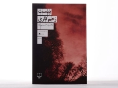 کتاب بیست زخم کاری | محمود حسینی‌زاد - 3