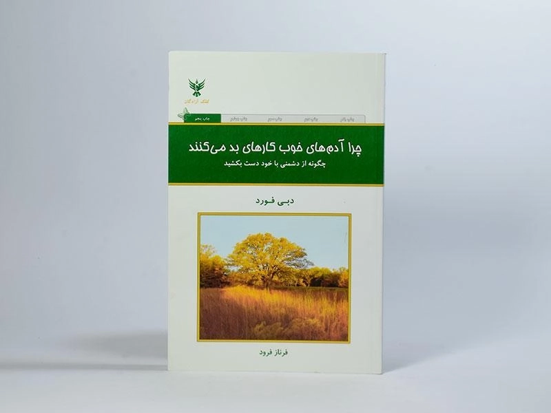 کتاب چرا آدم های خوب کارهای بد می کنند | دبی فورد - 4