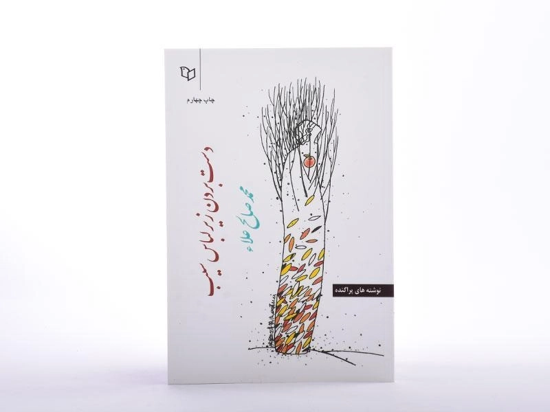 کتاب دست بردن زیر لباس سیب - 3