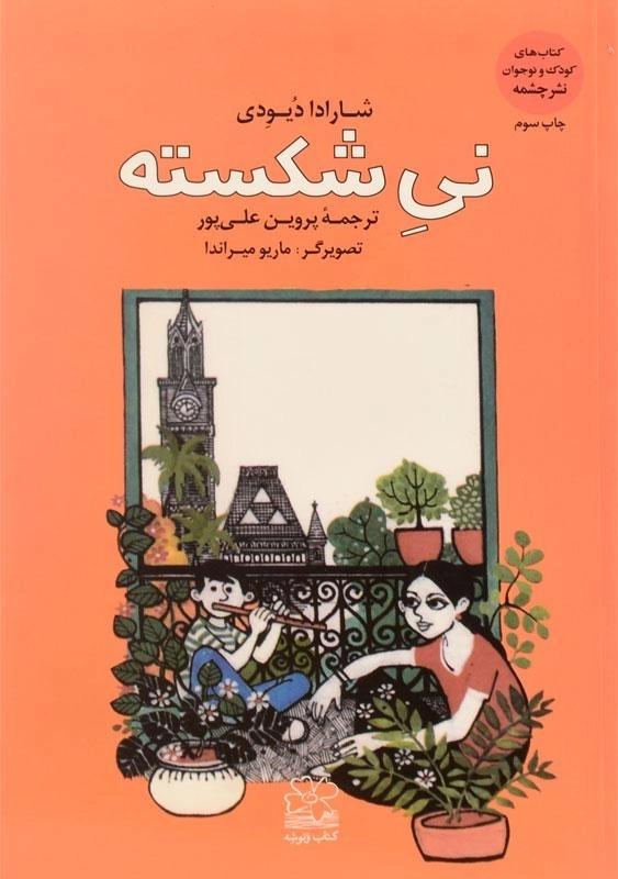 کتاب نی شکسته - چشمه - 0