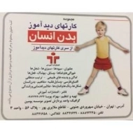 کارتهای دید آموز (بدن انسان)