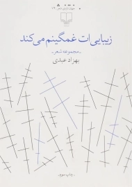 کتاب زیبایی ات غمگینم می کند | بهزاد عبدی