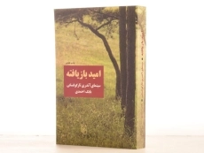 کتاب امید بازیافته - بابک احمدی - 2