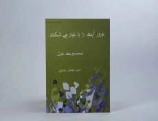 کتاب غرور آینه را با غبار می شکنند - امیرمهدی عرفانی - 2