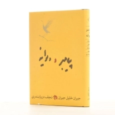 کتاب پیامبر و دیوانه