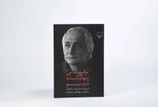 کتاب توفانی پنهان شده در نسیم - لنگرودی - 3