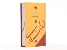 کتاب فرهنگ فارسی معین (پالتویی) - 4