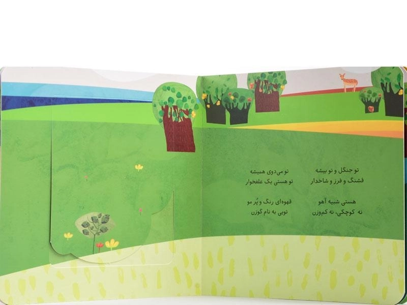 کتاب پنجره رو وا کنید یک چیزی پیدا کنید (حیوانات جنگل) - 2