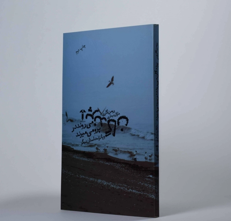 کتاب پرندگان می روند در پرو می میرند - رومن گاری - 2