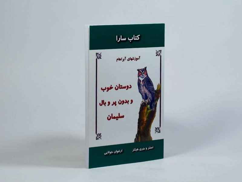 کتاب دوستان خوب و بدون پر و بال سلیمان - 2