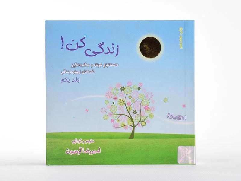 کتاب زندگی کن! - امیررضا آرمیون (جلد یکم) - 2