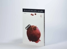 کتاب سه گزارش کوتاه درباره ی نوید و نگار - 4