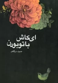 کتاب ای کاش با تو بودن | حسین درگاهی