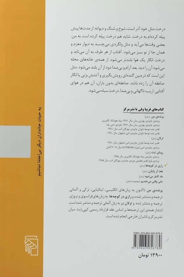 کتاب رازی در کوچه ها - فریبا وفی - 1