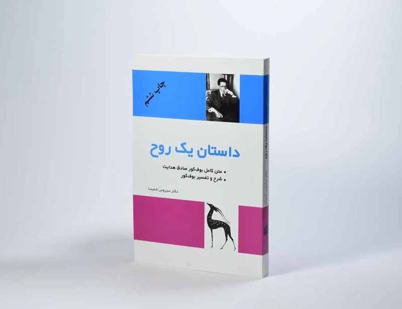 کتاب داستان یک روح - سیروس شمیسا - 2