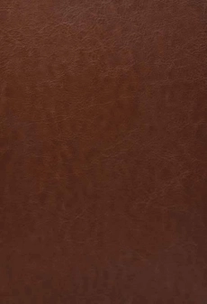 کتاب حکایت شیخ صنعان - رضا اشرف زاده - 1