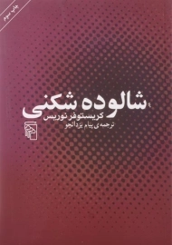کتاب شالوده شکنی | کریستوفر نوریس