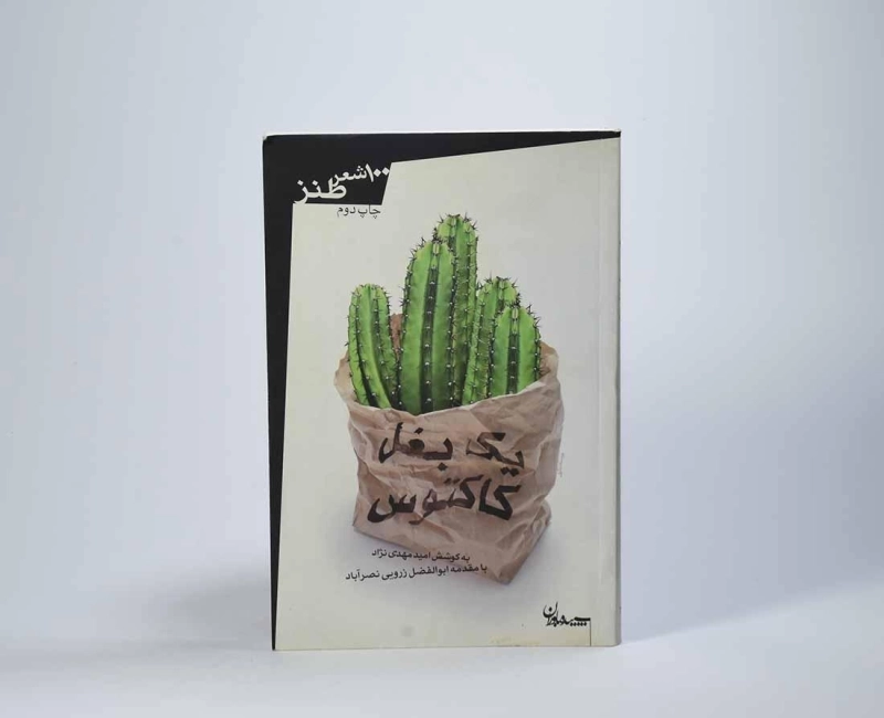 کتاب یک بغل کاکتوس - امیر مهدی نژاد - 3