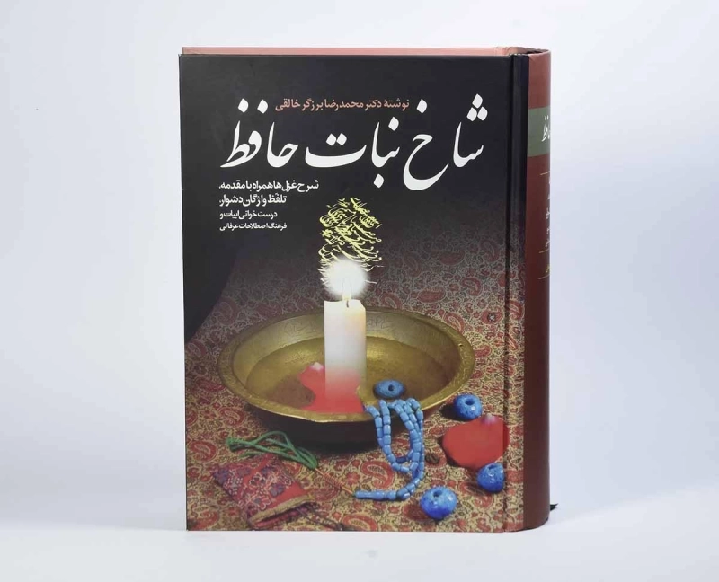 کتاب شاخ نبات حافظ - محمدرضا برزگر خالقی - 3