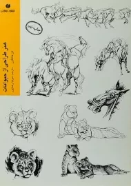 کتاب هنر طراحی از حیوانات | کن هالتگرن