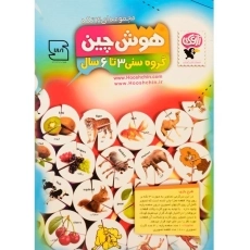 بازی فکری و آموزشی هوش چین 3 تکه - زاغک - 3