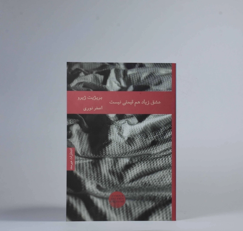 کتاب عشق زیاد هم قیمتی نیست - ژیرو - 2