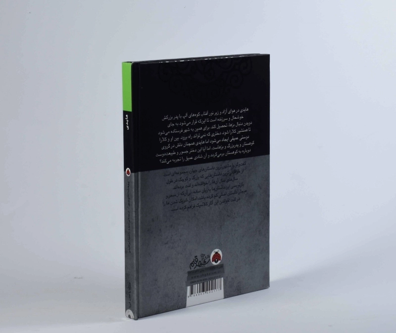 کتاب هایدی - شهر قلم - 2