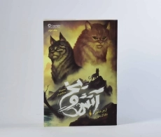 کتاب آتش و یخ 2 (جنگجویان) - 5