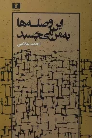 کتاب این وصله ها به من می چسبد