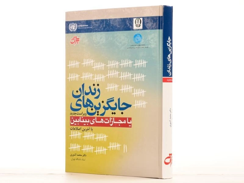 کتاب جایگزین های زندان یا مجازات های بینابین | آشوری - 4