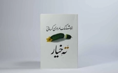 کتاب ته خیار | هوشنگ مرادی کرمانی - 3