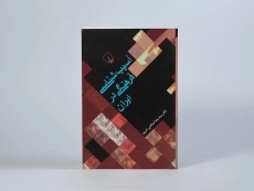 کتاب آسیب شناسی فرهنگی در ایران - صالحی امیری - 2