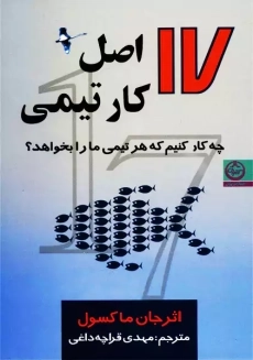 کتاب 17 اصل کار تیمی