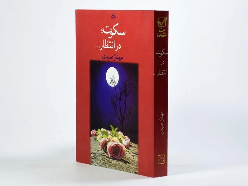 کتاب سکوت؛ در انتظار - مهناز صیدی - 2