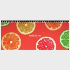 پلنر و لیست انجام کارهای همیشه - 1