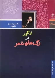 کتاب انگور در رگ‌های شعر | حسین میدری