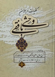 کتاب کلیات دیوان وحشی بافقی