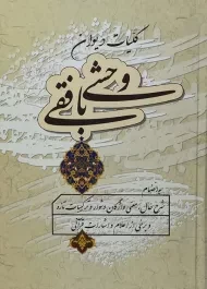 کتاب کلیات دیوان وحشی بافقی