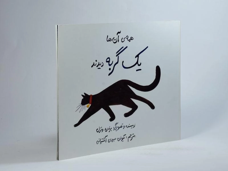 کتاب همه ی آن ها یک گربه دیدند - 2