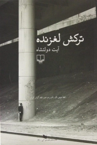 کتاب ترکش لغزنده | آیت دولتشاه